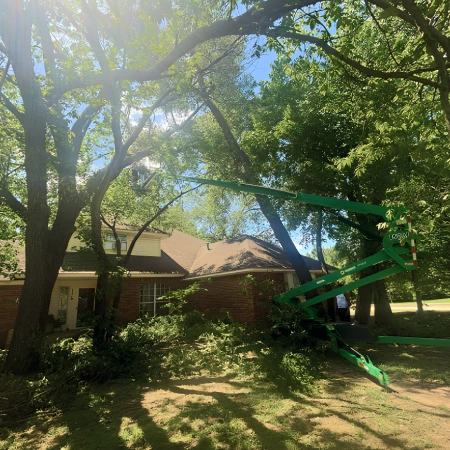 Tree Maintenance Services service icon 4